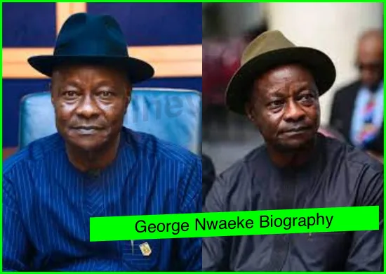 George Nwaeke Biography